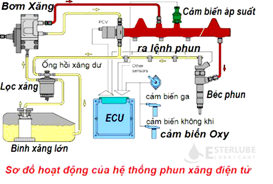 [Esterlube-Lubricant]-He-thong-phun-xang-dien-tu-GDI-va-EFI-khac-nhau-the-nao.png