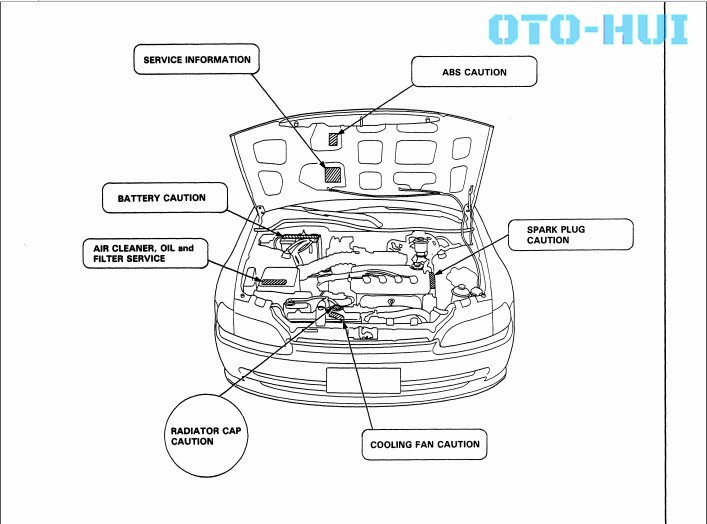 Honda Civic 92-95 Workshop.jpg