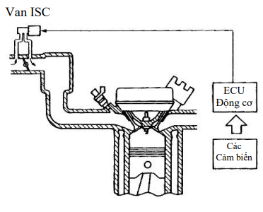 ISC (điều khiển tốc độ không tải)
ECU động cơ được lập trình với các giá trị tốc độ động cơ
