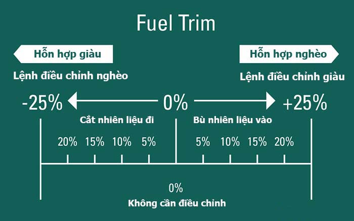 tim-hieu-fuel-trim-3.jpg