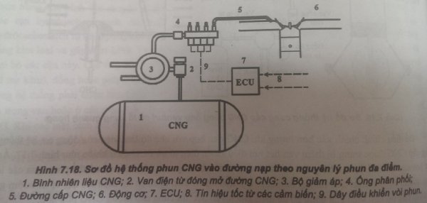 động cơ đốt trong sử dụng nhiên liệu CNG 3.jpg