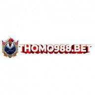 thomo988bet